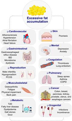 Recent Advances in Incretin-Based Pharmacotherapies for the Treatment of Obesity and Diabetes